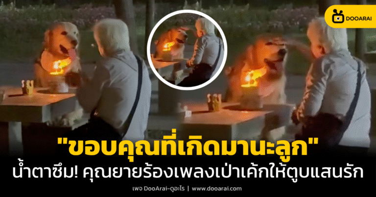คุณยายฉลองวันเกิดให้ตูบ
